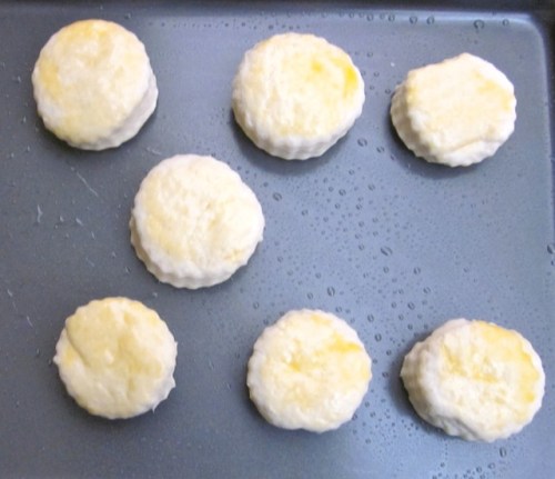 Plain scones 2_3938 myfavouritepastime.com
