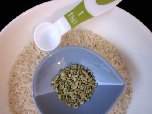 Rice & Fennel_4217_2