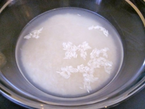 Rice & Fennel_4218_2