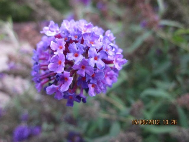 Friday 23 March_2513