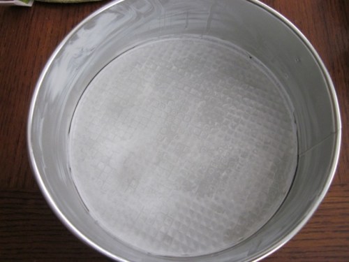 Apple Cake with Apricot Jam Glaze myfavouritepastime.com Apple Cake with Apricot Jam Glazing_7605