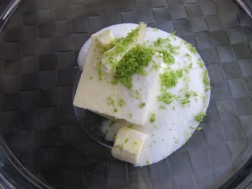 Apple Cake with Apricot Jam Glaze myfavouritepastime.com Apple Cake with Apricot Jam Glazing_7608