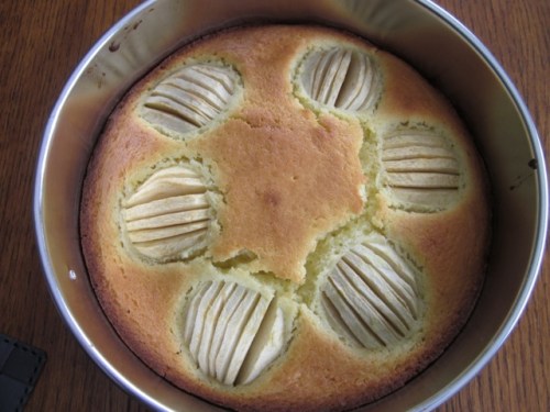 Apple Cake with Apricot Jam Glaze myfavouritepastime.com Apple Cake with Apricot Jam Glazing_7656