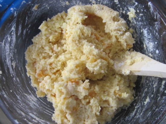 Apricot Chocolate Chip and Coconut Cake myfavouritepastime.com Apricot Choc Chip & Coconut Cake_7701