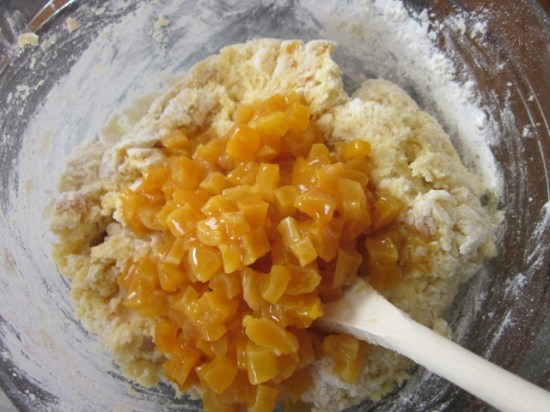 Apricot Chocolate Chip and Coconut Cake myfavouritepastime.com Apricot Choc Chip & Coconut Cake_7704