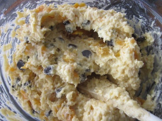 Apricot Chocolate Chip and Coconut Cake myfavouritepastime.com Apricot Choc Chip & Coconut Cake_7711