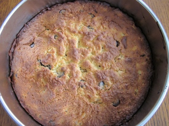 Apricot Chocolate Chip and Coconut Cake myfavouritepastime.com Apricot Choc Chip Coconut Cake_7748