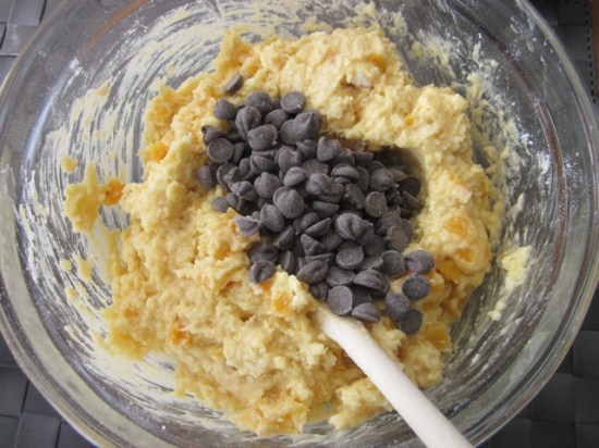 Apricot Chocolate Chip and Coconut Cake myfavouritepastime.com Apricot Choc Chip & Sultana Cake_7708