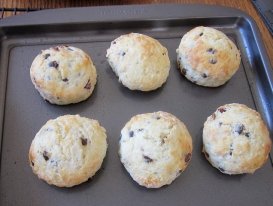 Cranberry and Chocolate Chip Scones myfavouritepastime.com Cranberry & Chocolate Scones_8900_2
