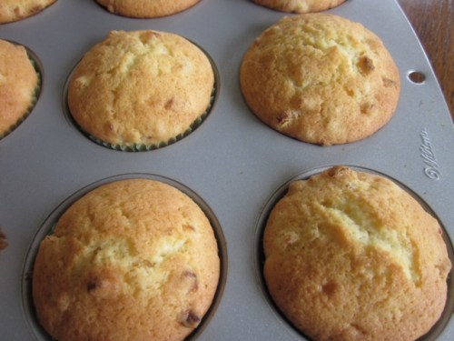 Apricot Cupcakes_2043