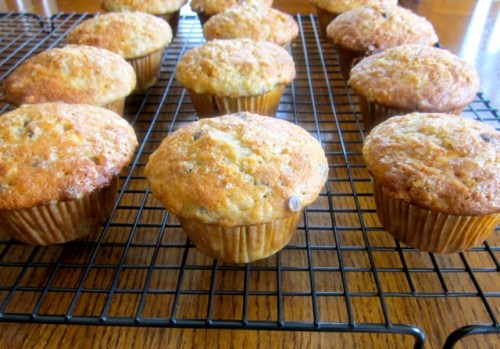 Chocolate Banana Muffins_1301