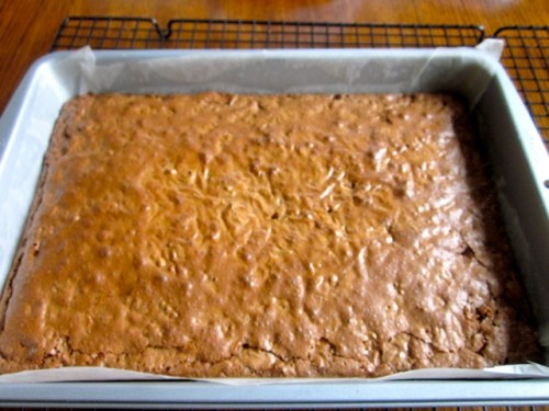 Brownies My Favourite Pastime_3102