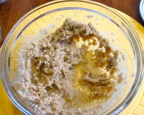 Chocolate Chip Coconut Cookies My Favourite Pastime_1582