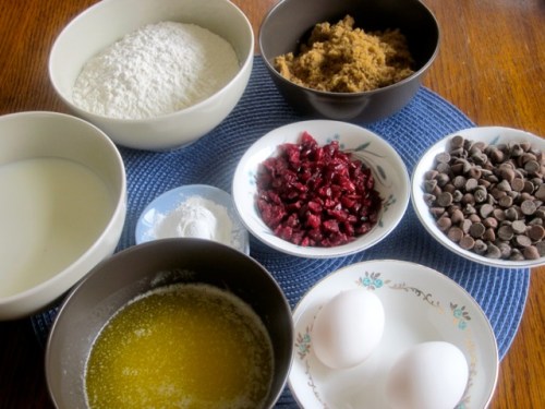 Cranberry Chocolate Chip Muffins_1971