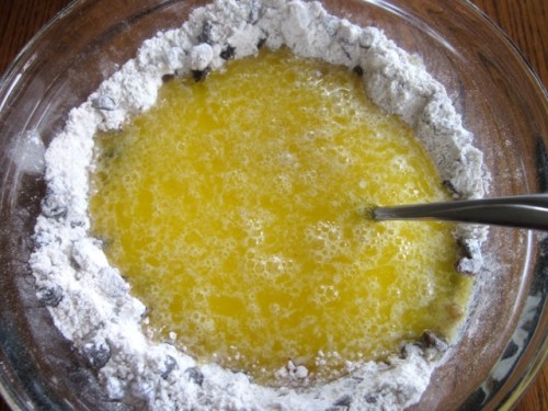 Cranberry Chocolate Chip Muffins_1999