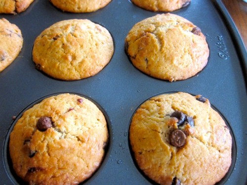 Cranberry Chocolate Chip Muffins_2041