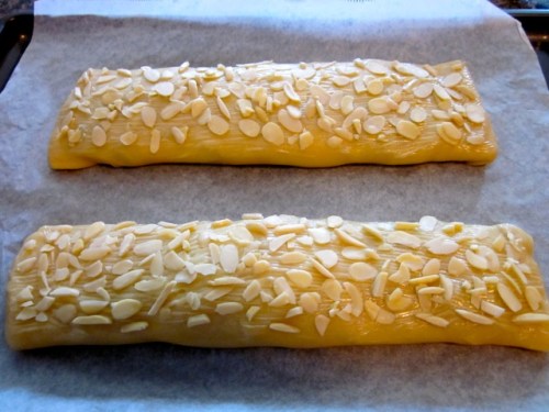 Apple Strudel myfavouritepastime.com_6474