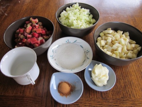 Rhubarb Apple Pear Pie myfavouritepastime.com_6525