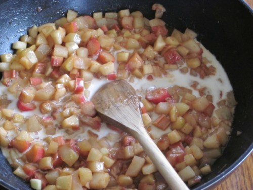Rhubarb Apple Pear Pie myfavouritepastime.com_6541