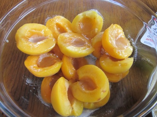 Apricot Almond Cake myfavouritepastime.com_6905