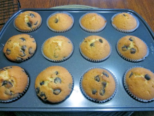 Chocolate Chip Cupcakes myfavouritepastime.com Chocolate Chip Cupcakes myfavouritepastime.com_0431