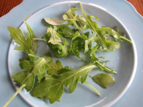 Cucumber, Apple and Celery Salad with Chicken myfavouritepastime.com_7160