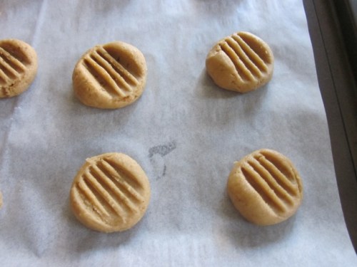 Golden Honey Biscuits myfavouritepastime.com_6429