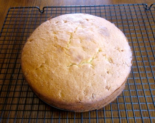 Coconut Milk Cake with White Chocolate Chips myfavouritepastime.com_2553