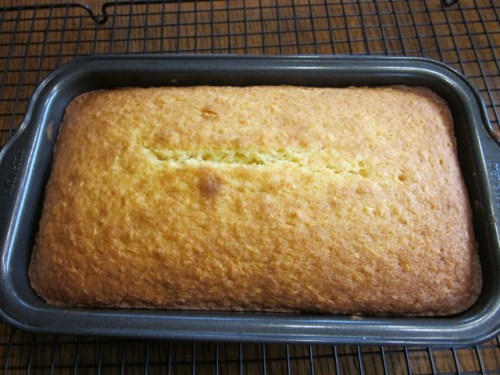 Coconut Orange Cake myfavouritepastime.com_7505