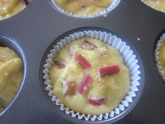 Rhubarb Muffins myfavouritepastime.com_6341