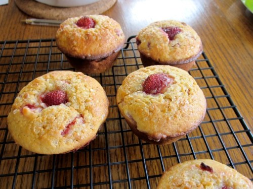 Strawberry and Honey Muffins myfavouritepastime.com_5115