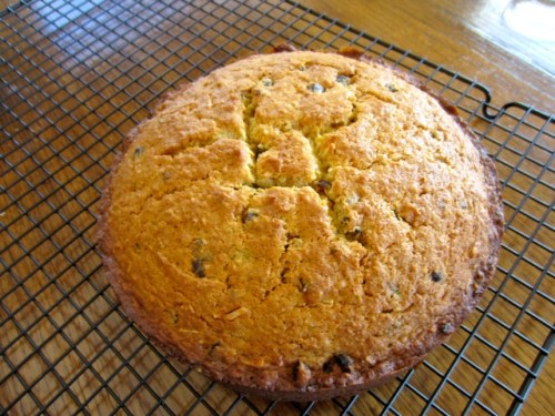 Sweet Potato Date and Coconut Cake myfavouritepastime.com_8262