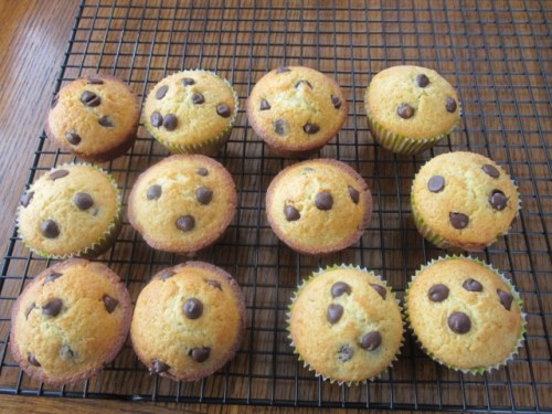 Chocolate Chip Muffins myfavouritepastime.com_8151_2