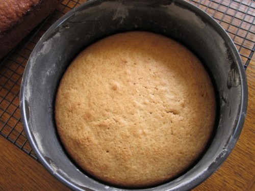 Cinnamon Tea Cake myfavouritepastime.com_8246