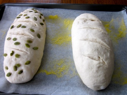 Easy Bread Recipe myfavouritepastime.com_8864