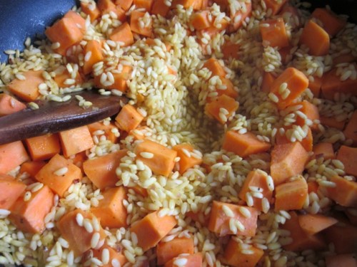 Sweet Potato Risotto myfavouritepastime.com_8476
