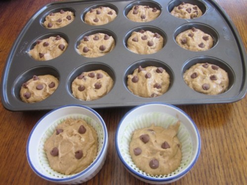 Spicy Chocolate Chip Apple Muffins myfavouritepastime.com_0592
