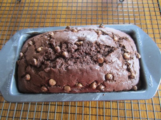 Chocolate Zucchini Apple Bread myfavouritepastime.com_2081