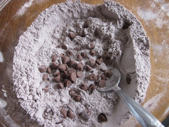 Chocolate Zucchini Apple Bread myfavouritepastime.com_2281