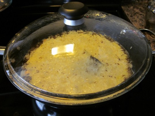 Rice with Cumin Seeds myfavouritepastime.com_2124