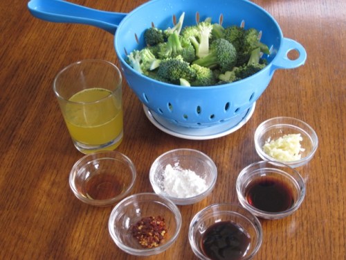 Spicy Broccoli with Garlic Sauce myfavouritepastime.com _0884