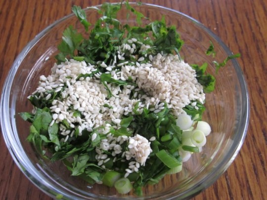 Brown Rice with Green Onions & Cilantro myfavouritepastime.com_0862