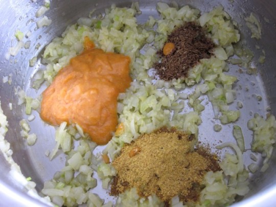 Spicy Carrot Soup with Yoghurt myfavouritepastime.com_2006