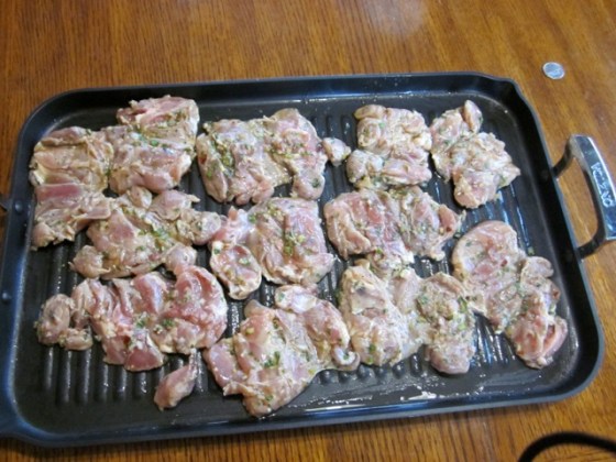 Spicy Lemon Cilantro Chicken with Salsa myfavouritepastime.com_3321