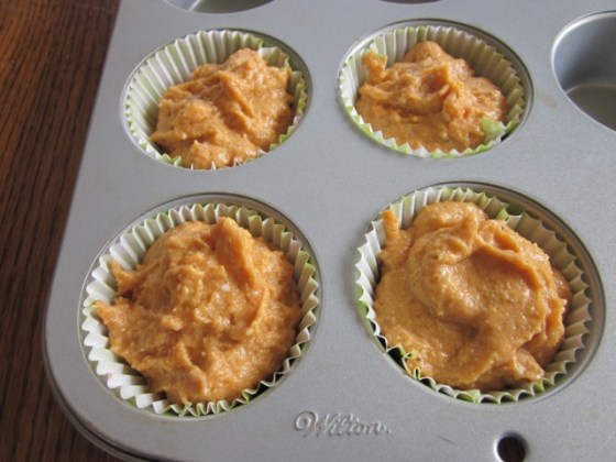 Spicy Pumpkin and Chocolate Chip Muffins myfavouritepastime.com_2949