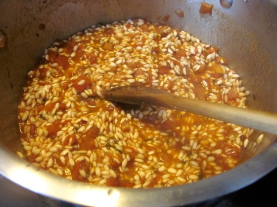 Tomato and Parsley Risotto with Red Wine myfavouritepastime.com_3542