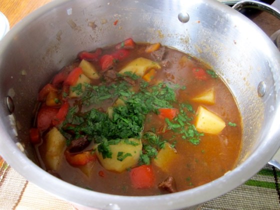 Beef Stew in Red Wine myfavouritepastime.com_3888