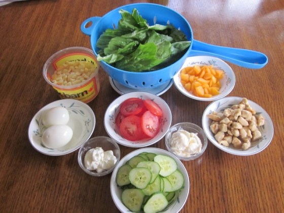 Chicken Apple and Apricot Sandwich myfavouritepastime.com_3793