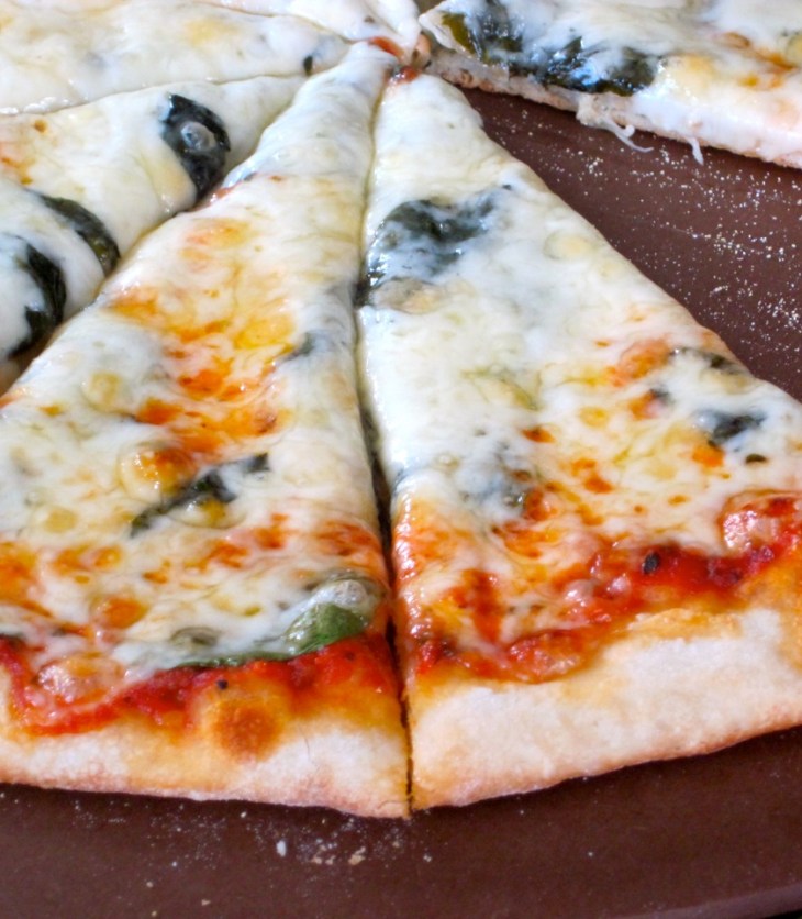 No-Knead Thin Crust Pizza Dough myfavouritepastime.com