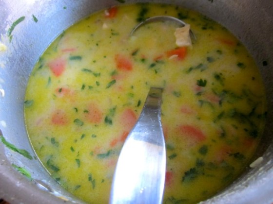 Hearty Chicken Soup myfavouritepastime.com_3595